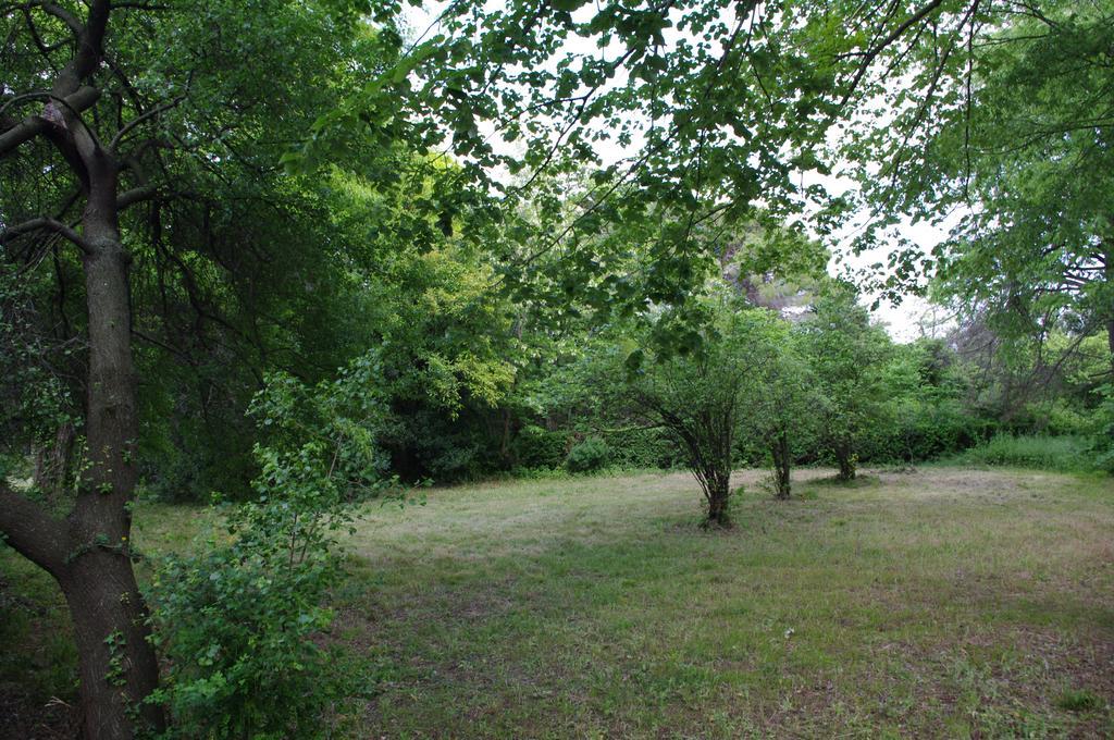 Ginestas Chateau Le Vergel Authenac חדר תמונה