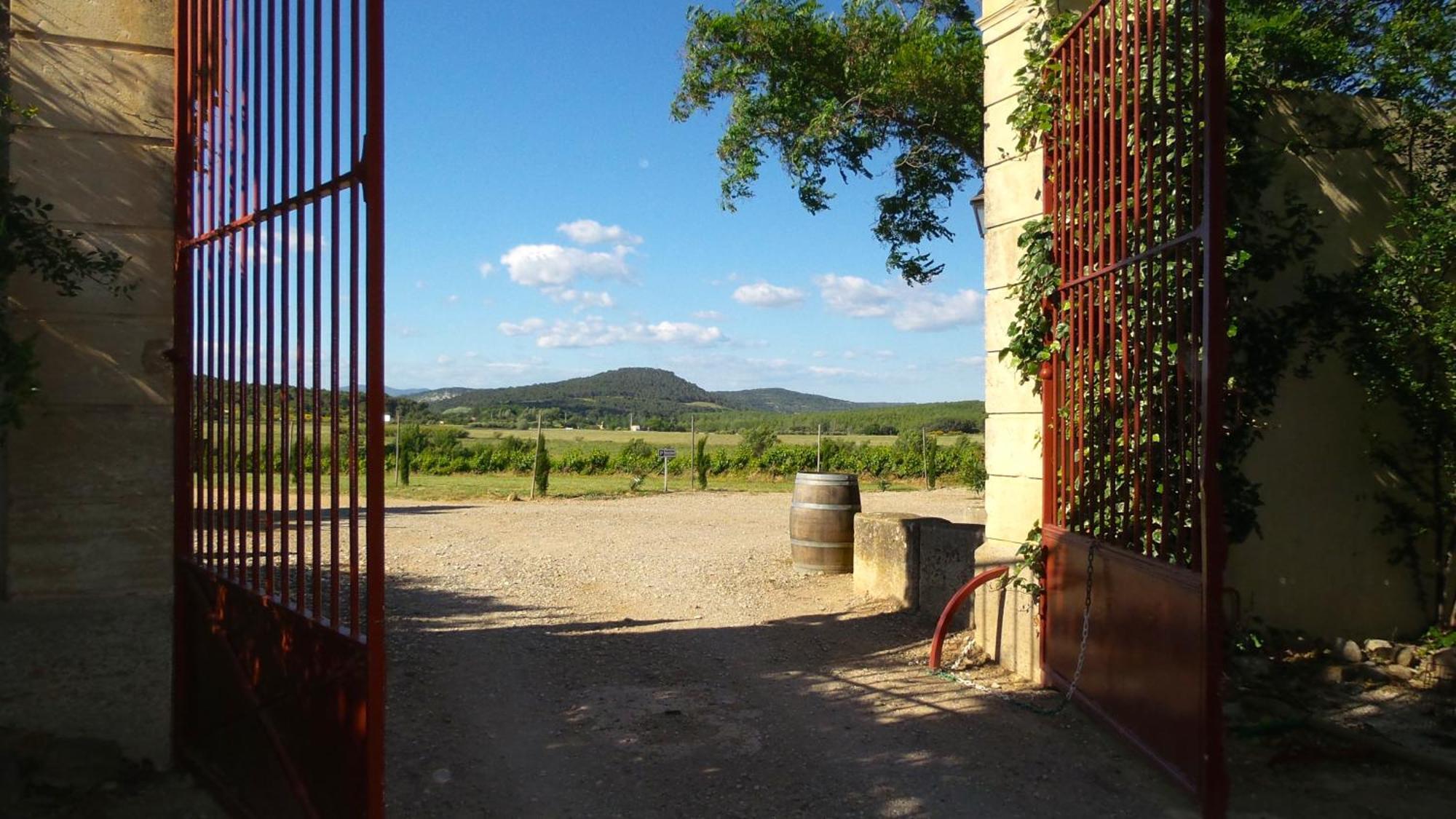 Ginestas Chateau Le Vergel Authenac חדר תמונה