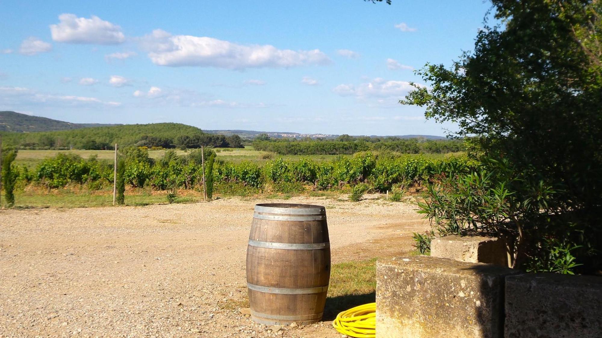 Ginestas Chateau Le Vergel Authenac חדר תמונה